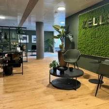 Einganzsbereich ZELLSPA St.Gallen